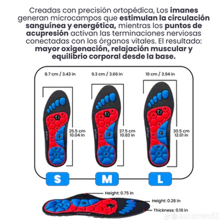 PLANTILLAS MAGNETICAS🔥